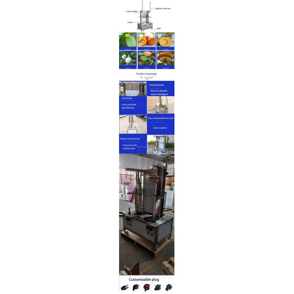 Double Head Pumpkin Peeling Machine / Grapefruit Peeler Machine Automatic / Peeling Fruit and Vegetable Machine