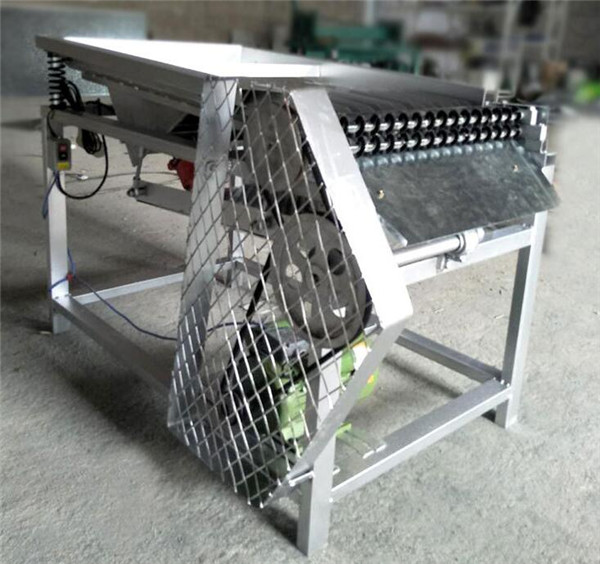 pea sheller, pea shelling machine, pea peeling machine, pea pod remover