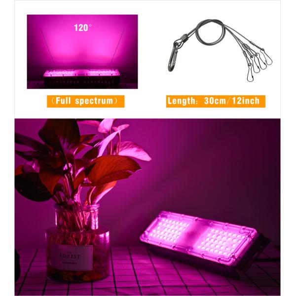 Full Spectrum AC220V LED Grow Light Module 30W 50W IP67 Waterproof