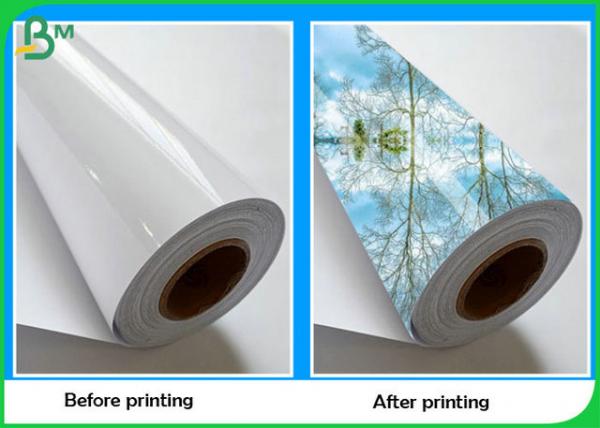 24Inch 230grm Waterproof Inkjet Photo Paper With Good Printing 