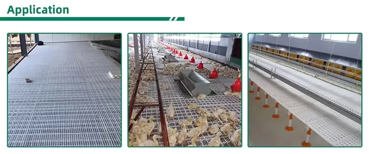 PP Materials Poultry Slatted Flooring Efficient Manure Separation Broiler Slatted Floor