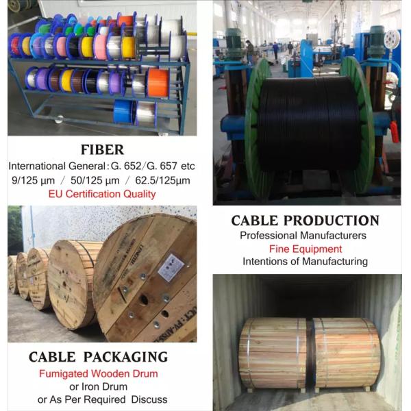 GYFTY FRP 12 Core Single Mode Fiber Optic Cable for Underground Cable Ducting with G652D/G657A1/G657A2 Specifications