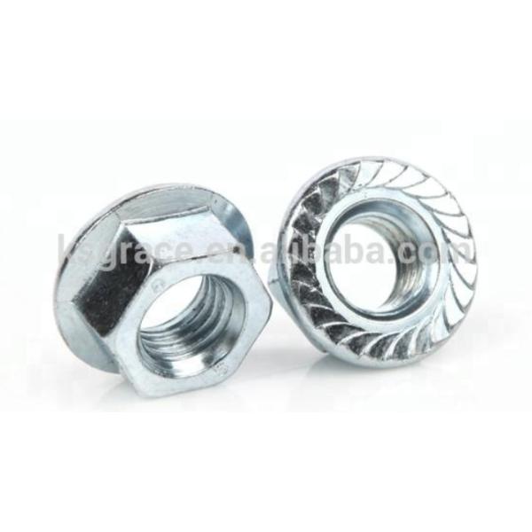 DIN6923 Hex Flange Nuts, Hex Serrated Flange Nut