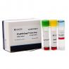 RT-QPCR EasyTM  I One Step SYBR Green I Complete Quantitative Detection Of Genes For RT And Real Time PCR for sale