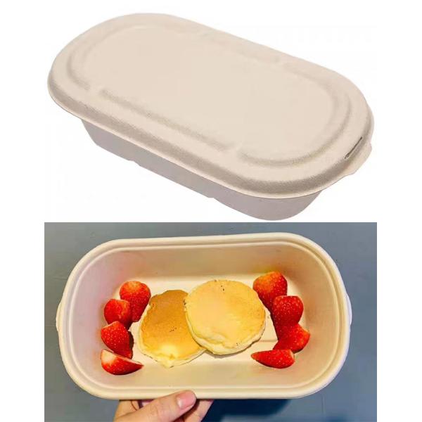 YC Series Paper Pulp Tableware Production Machines Pulp Molded Biodegradable