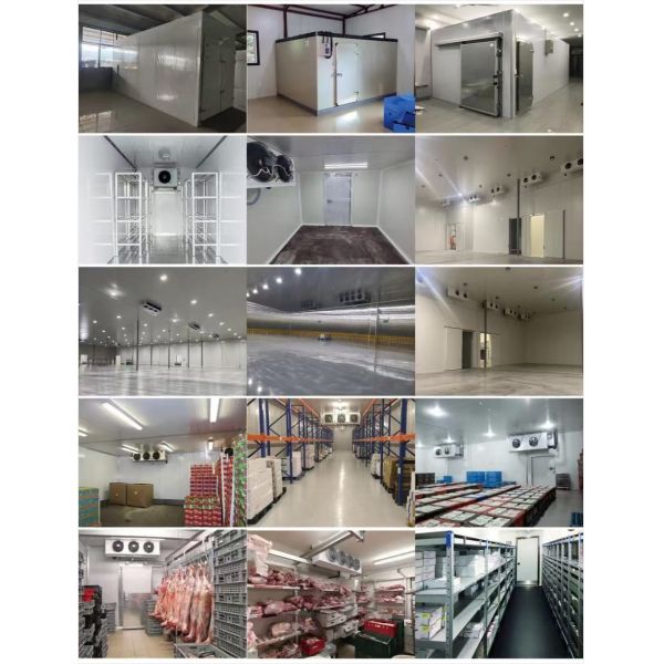 Solar Powered Cold Storage Room 10FT 20FT 40FT Container Refrigeration Vegetable Cold Room for Seafood and Meat