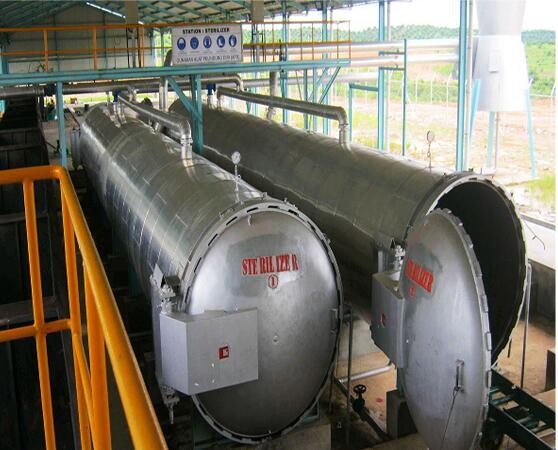 Palm Oil Processing Mill Automatic Palm Kernel Expeller Machine for Bunch Threshing at 48m*12M*15M 30TPD