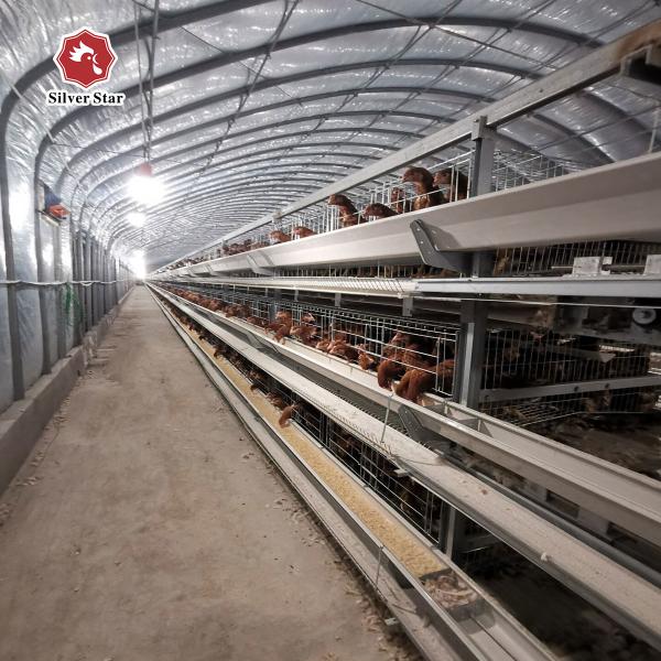 5 Layers Hot Dipped Galvanized Chicken Cage Battery Cage System