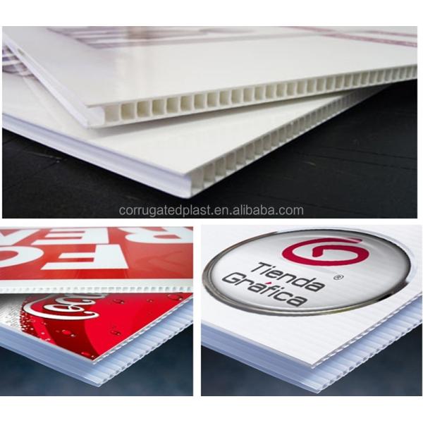 PP Coroplast Packaging Box Corrugated Plastic Sheet Boxes
