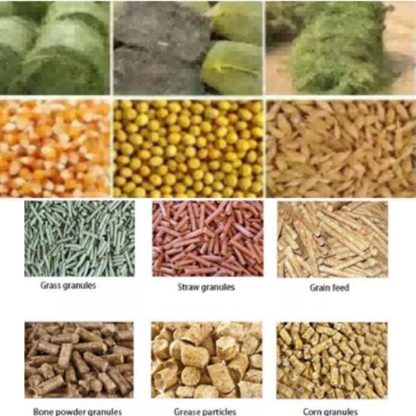 Full Automatic Animal Poultry Feed Pellet Making Machine Set 7.5-30kw