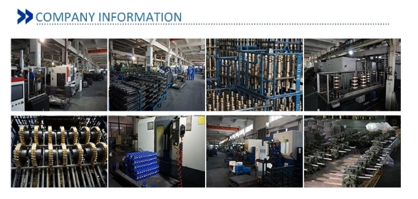 PF80 PF90 High Precision Transmission Reducer Planetary Gearbox