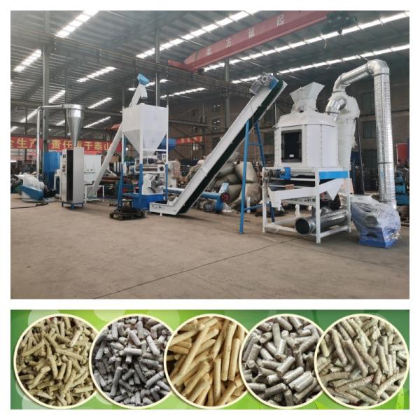 Feed Processing Machines 2-18mm Ring Die Granulator Pellet Mill Pellet Making Animal Feed Pellet Machine Farm
