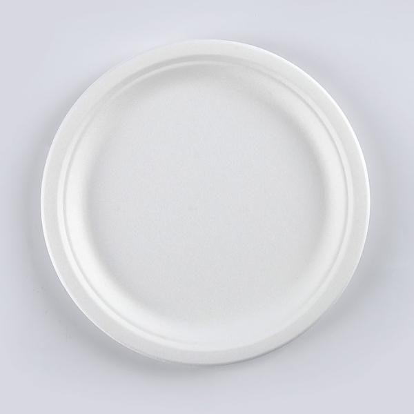 wholesale biodegradable sugarcane tableware disposable bagasse compostable paper 10 inch plates manufacturer