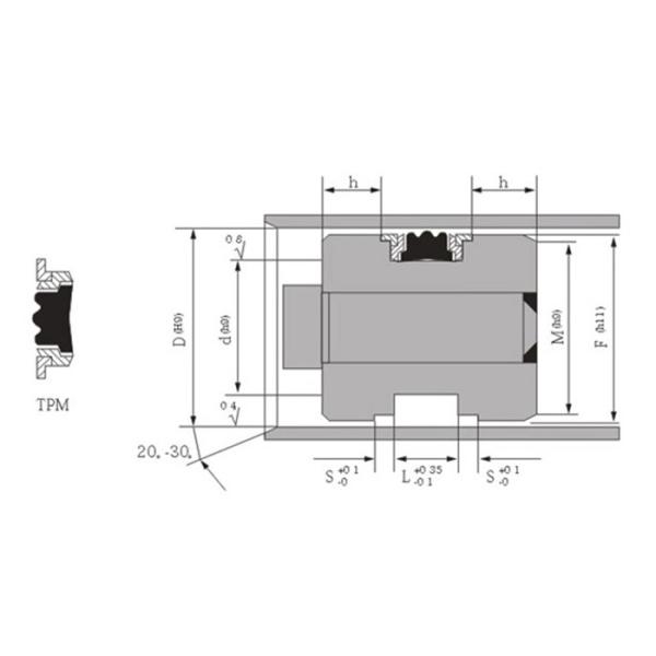 TPM-236173/248185 Five-piece Combination Seal 60*44/63*47 Italian TECNOTEX