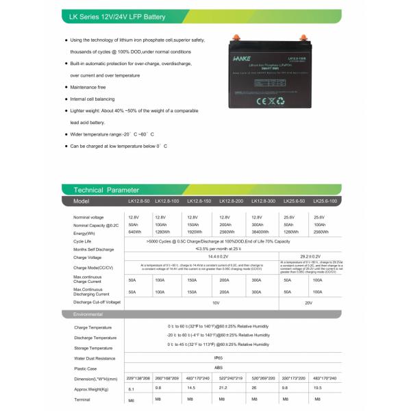 100ah 12v Lithium Iron Phosphate Battery With Bluetooth