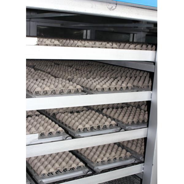 Recycled Waste Paper Pulp Tray Machine / Cup Tray Forming Machine