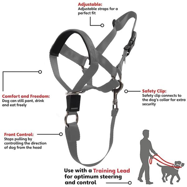 Dog Head Collar No Pull Training Tool For Dogs On Walks Includes Free Training Guide