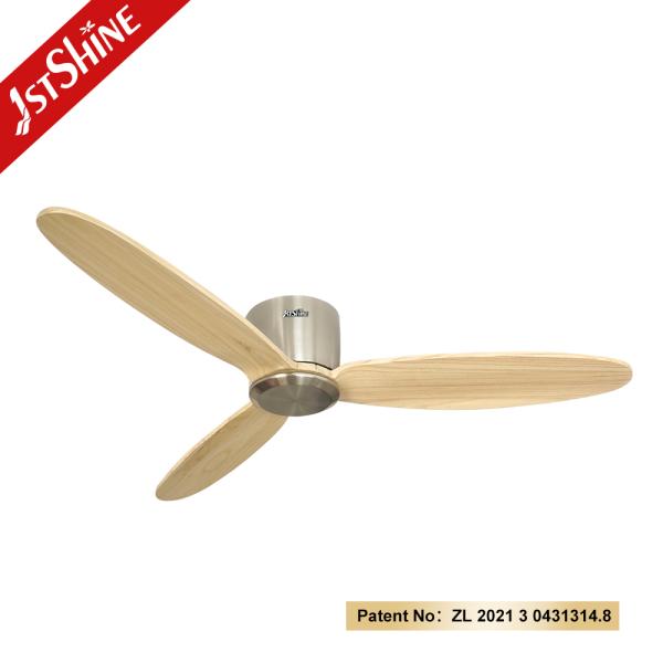 ceiling fan ceiling fan