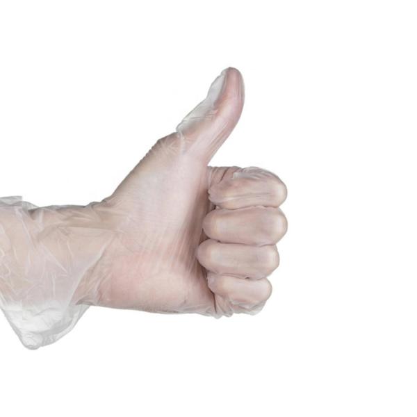 M Permanent Makeup Tattoo Kit Disposable Examination PVC Gloves