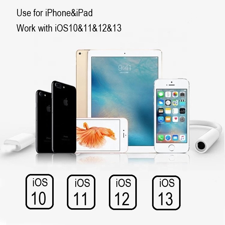 3.5mm Aux Headphone Jack 8.0CM Lightning Adapter Cable