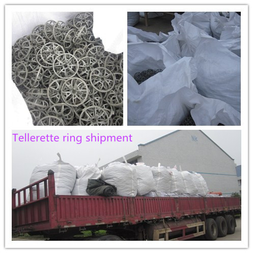 Plastic Random Packing PVC Teller Rosette Ring 47mm For Stripping Service
