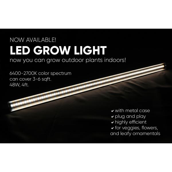 50000hrs Waterproof LED Grow Light