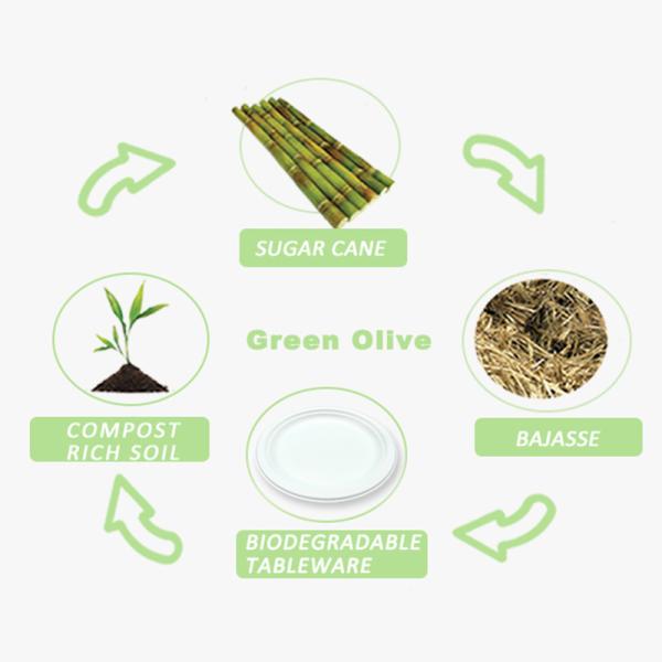 Disposable Sugarcane Bagasse Compostable Pulp Tableware Party Paper Plate