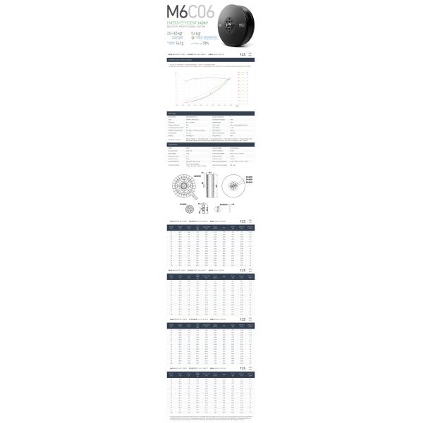 M6C06 IPE Anticorrosive Brushless DC Motor front view