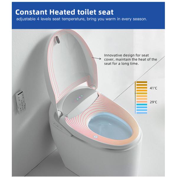 Home Portable Bathroom Smart Toilet Multi - Function Customized White Color