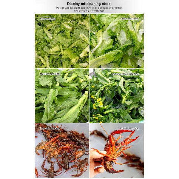 Tengsheng Vegetable Cleaning Machine , Multi Directional Sundries Filter Spinach Washing Machine