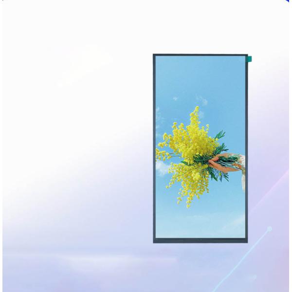 9.9 Inch TFT Display Module 720*1600 Resolution MIPI Interface 450C/D ICFL7707N