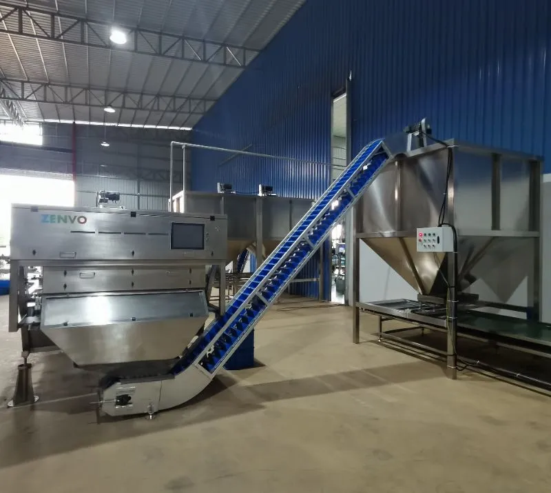 Intelligent Automatic Cashew Shell-Kernel Separation Sorter with Single-Deck Belt