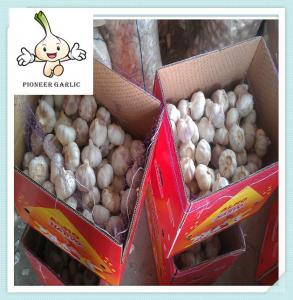 Quality 2016 Chinese Fresh Garlic/Garlic/Natural Galic High quality chinese garlic for sale