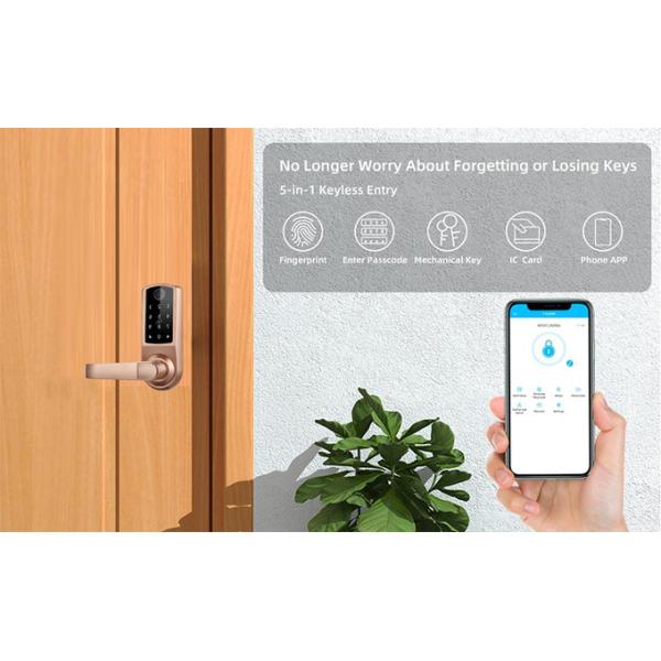 Single Latch Deadbolt Security Electronic Smart Fingerprint Door Lock with TTlock app