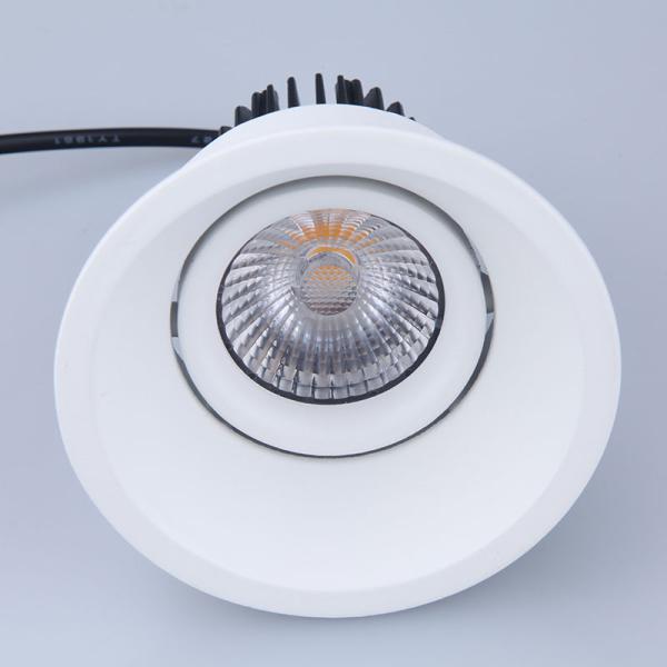 Tiltable Adjustable Recessed LED Downlight