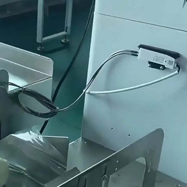 4KW Pillow Type Packing Machine 220V Vegetable Packaging Machine 20Bags/Min - 100Bags/Min