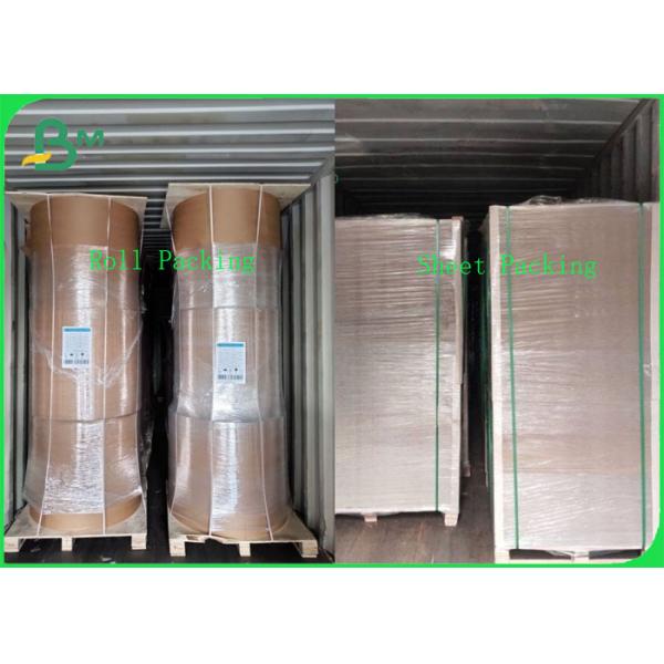 Durable PE Coated Kraft Paper Jumbo Roll Width 700 - 2500MM