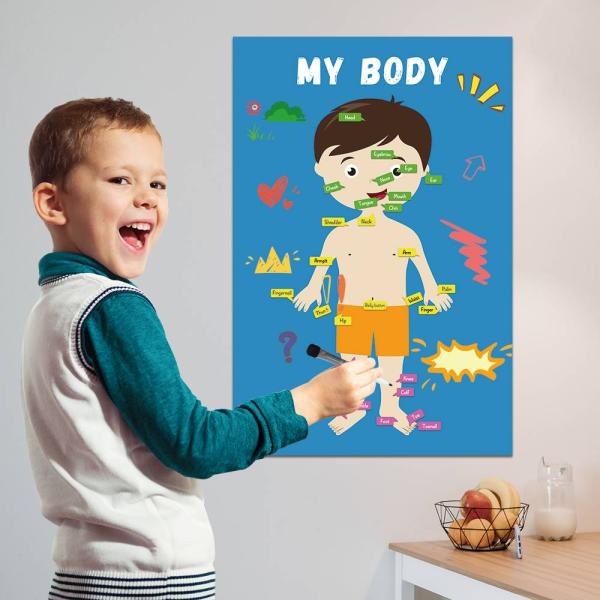 Removable Educational Learning Products Dry Erase Notebook Paper Poster