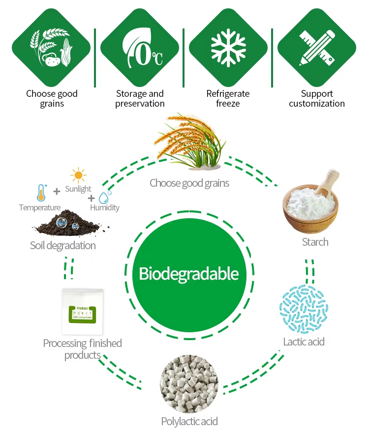 Biodegradable Food Package Electronics Pouch Compostable Zip Lock Shopping Bag Recyclable Small Plastic Bag