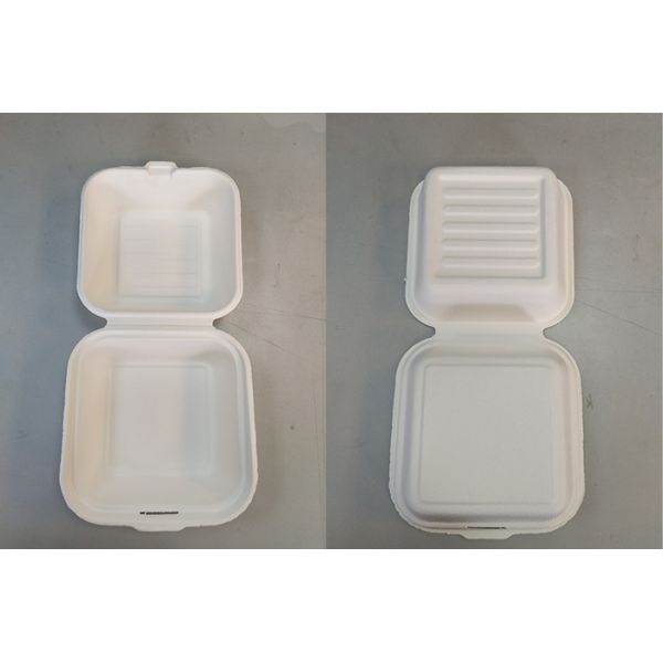 Sugarcane Disposable Take Away Tableware Pulp Molding Equipment With PLC + Touch Screen + Simens