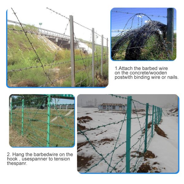 Galvanized Barbed Wire with PVC Coating for Security Fencing
