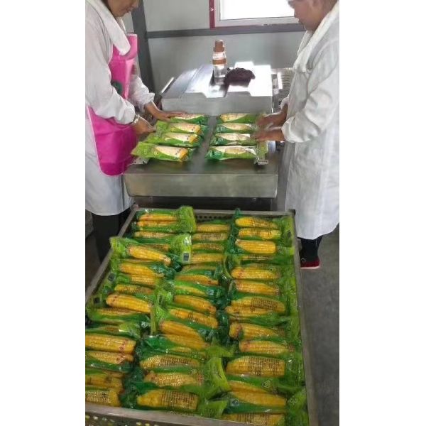 Food Grade SS304 Double Chamber Vacuum Packer