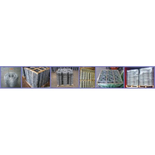 CE Certificate Barbed Wire Security Fence , Hot Dipped Galvanized Razor Wire