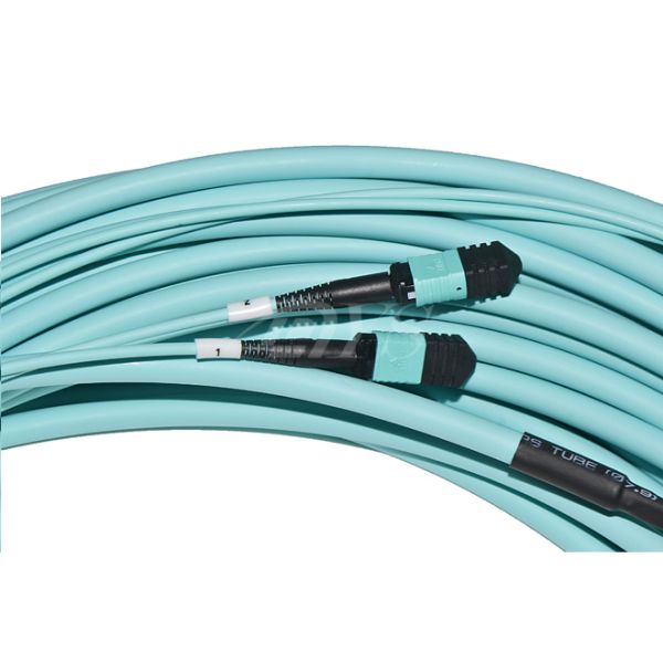 24 Fiber 100G OM4 MTP/MPO Backbone Trunk Cable Patch Cords