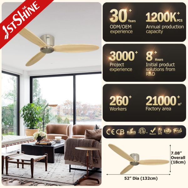 ceiling fan ceiling fan