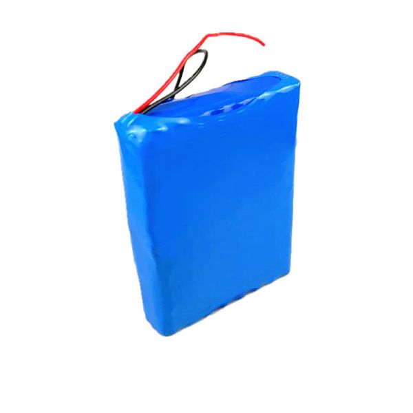 24V 20Ah Thin Flat Rectangular 18650 Lithium Ion Battery Pack Bare Red Black Wires Built-in BMS Rechargeable Li-ion Battery for Massage Equipment, CE