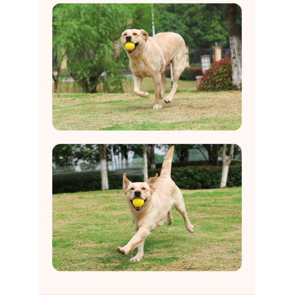 7.5cm Unbreakable TPR Silicone Dog Chewing Squeaky Toy For Grinding And Cleaning Teeth