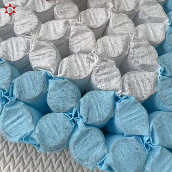 Customization Pocket Coil Spring Spring Pack Unit Steel Wire Environmentally