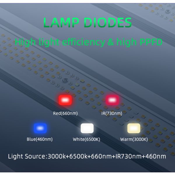 400W LED Grow Light Full Spectrum