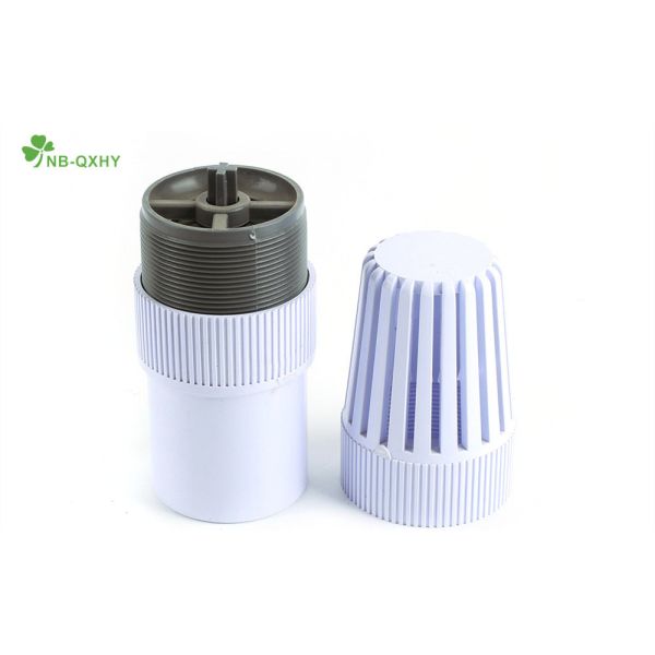 Plumbing Material Plastic PVC Foot Valve with Socket and Threaded Nominal Pressure Pn10